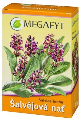 MEGAFYT BL Šalviová vňať bylinný čaj 1x30 g