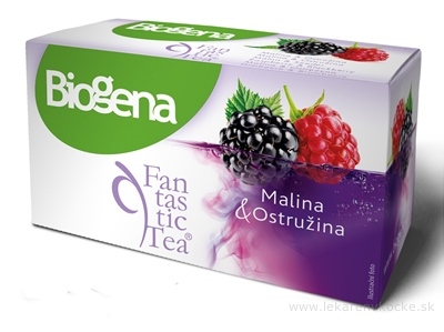 Biogena Fantastic Tea Malina & Ostružina ovocný čaj 20x2,2 g (44 g)